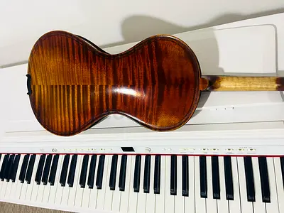 Violin
