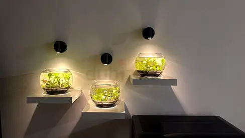 Professional Aquarium Cleaning Dubai - From AED 50
