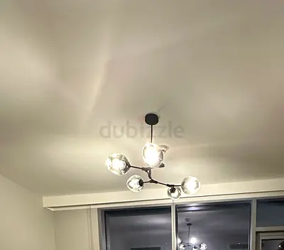 Modern 5-Arm Glass Globe Ceiling Light - Black Finish