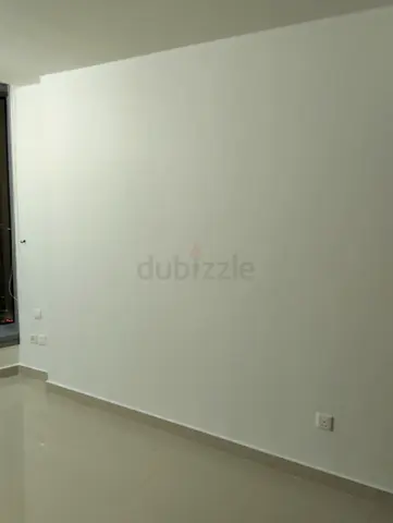 Home Painting services
