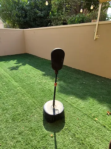 Punching ball