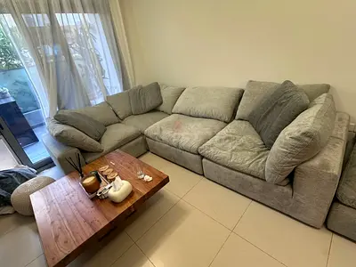 Amazing Condition Pan __ Home feather 🪶 filled Sofa