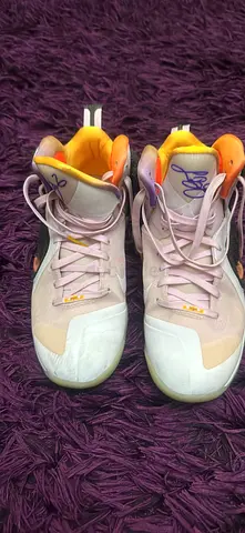 Nike Lebron James Shoe Size 9 US
