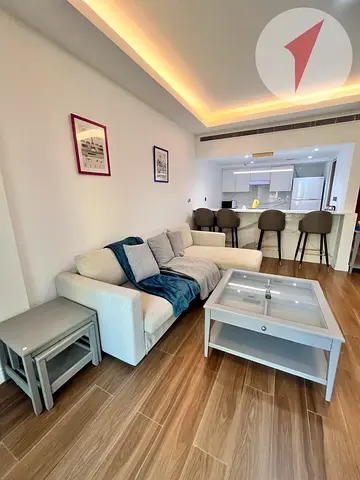 Furnished 1BR Apartment | Upgraded l Immaculate condition