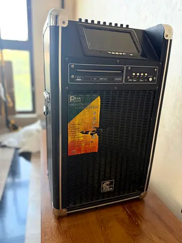 Tiger Professional Stage Speaker with Built-in Mixer