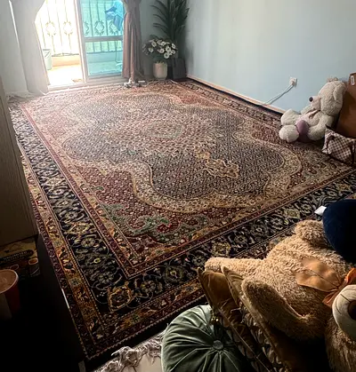 Large traditional Persian-style area rug — excellent condition