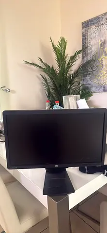 HP Monitor