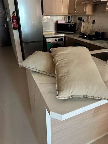 Two rectangles cushions beiges