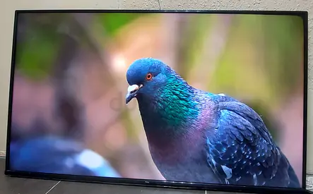 TCL 55 inch QLED LED Smart TV in good working condition with remote and box check discretion