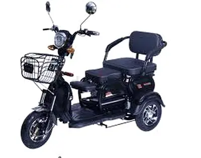 3-wheel electric mobility and family cargo tricycle
