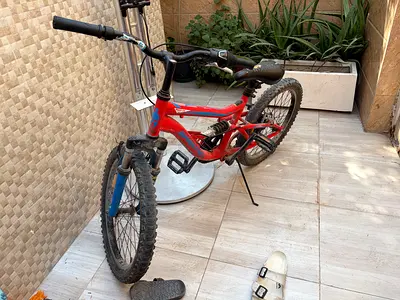 Cycle