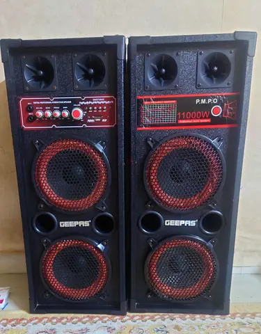 Geepas 2.0ch Karaoke Professional Speaker (Model GMS7484N) - Good Working Condition