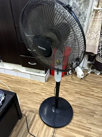 Standing Pedestal Fan - Used, Good Working Condition