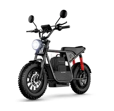 Wind Horse Electric Bike 750W 50KM Range 32KM Speed, D1