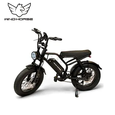 Wind Horse V8 Mini Electric Bike