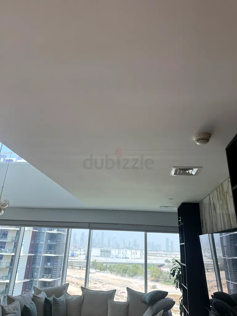 DPV_View_Image_5