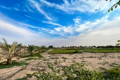 √ 19,912 SQM Farm Land | Excellent Location √