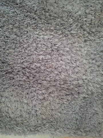 Light grey shaggy area rug - soft plush, good condition