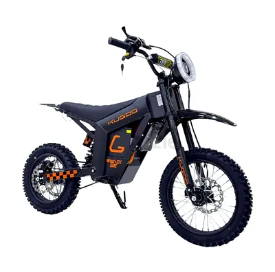 Kugoo Electric Scooter 3000W 50KM Range 55KM Speed, Wish 01