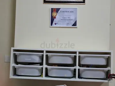 Ikea organizer's kids