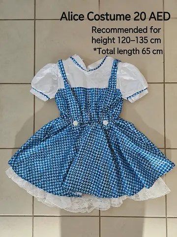 Alice costume