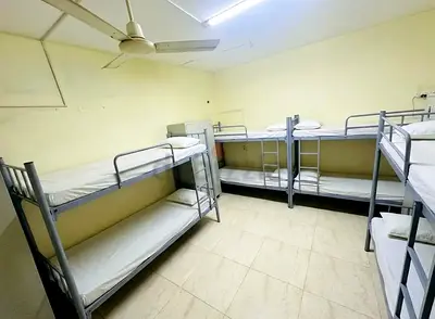 Excecutives bed space available