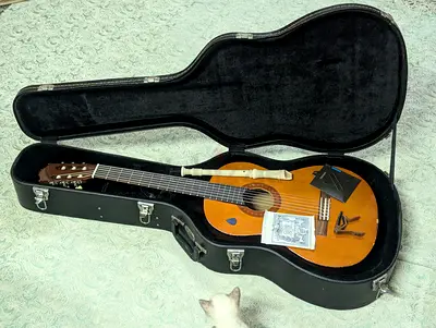 Yamaha c40, Fresh Strings, Yamaha recorder, Thomann hard case, and more