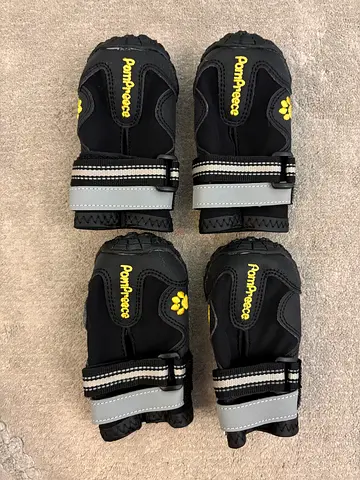 Pompreece Dog shoes