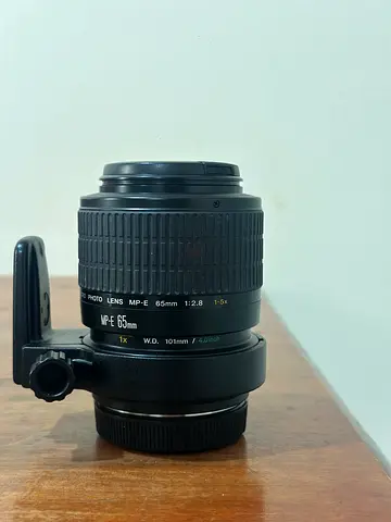 Canon MP-E 65mm f/2.8 1-5× Macro Photo lens, with the tripod collar