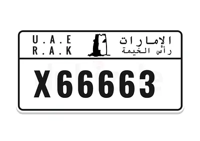 X66663