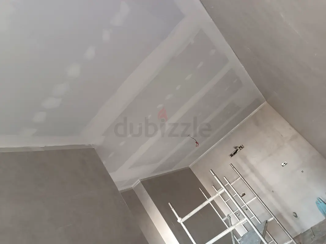 DPV_View_Image_2