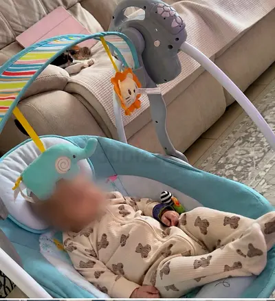 Baby electric rocker/bouncer with toy arch - good condition with remote control, electric/battery
