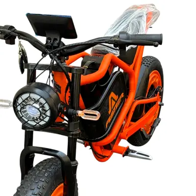 Aster X9 Off-Road Electric Bike