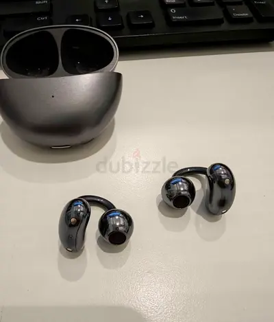 Earbuds clip