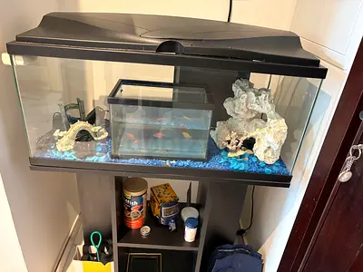 Complete Aquarium Tank with Stand, Heater, lights. Decorations and Accessories