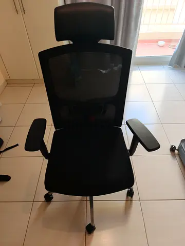 Ergonomic Office Chair with Headrest - Black Mesh