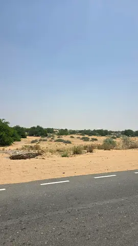 للبيع 5 أراضي سكنية بإمارة الشارقة منطقه مهذب الطرح الجديد ضاحية مهذب