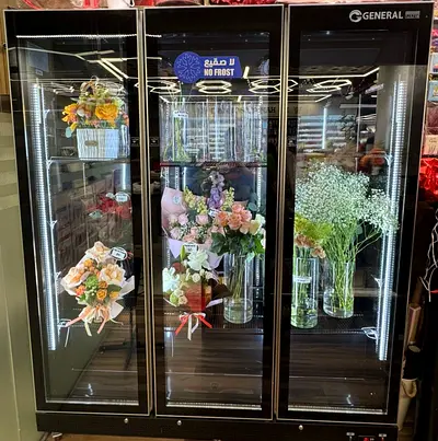 3-door Commercial Display Refrigerator / No-Frost Showcase - General