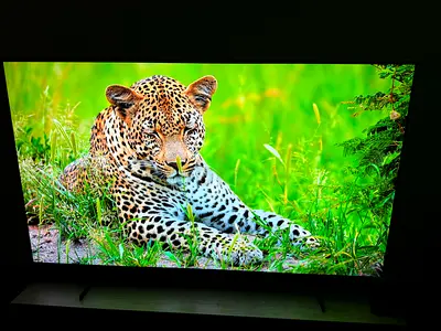 Samsung 65” OLED 4K Smart TV – S85F (2025)