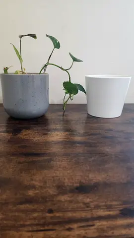 Set of 2 Minimalist Plant Pots (White & Grey) - Good Condition