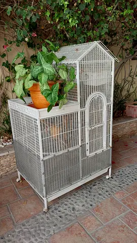Large white metal bird cage 160cms x 90cms- used, good condition