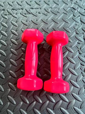 SKY LAND Vinyl Dumbbells – Pink (1 kg × 2)