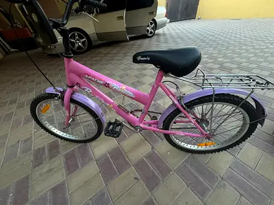 Bicycle 100 aed