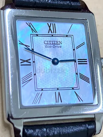 Citizen Stiletto