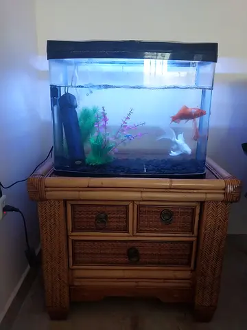 Aquarium with table and all cleanung accessories 290 aed