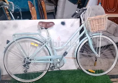 Reid Ladies bike cycle