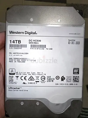 Western Digital Ultrastar 14TB DC HC530 SATA Data Center Hard Drive (14TB HDD)