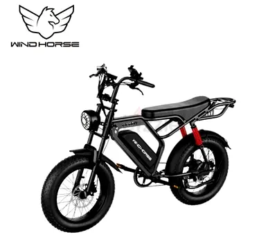 Wind Horse V8 Pro Electric Bike