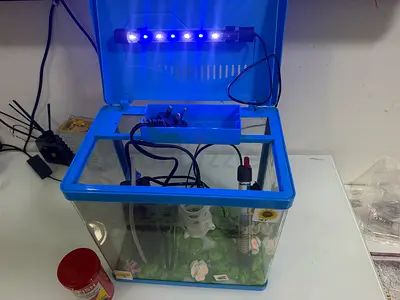FISH AQUARIUM with FILTER , HEATER , LIGHT and decoration, ELECTRA st