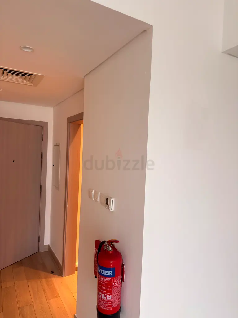 DPV_View_Image_1